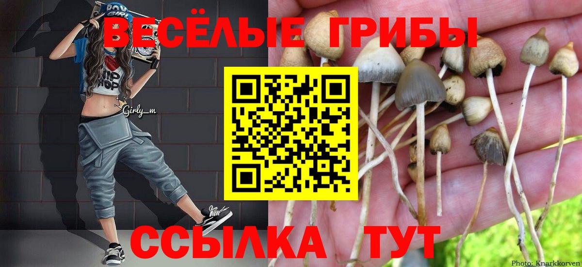 Сосновый Бор  хочу   Вход с VPN  Псилоцибиновые грибы прущие грибы 